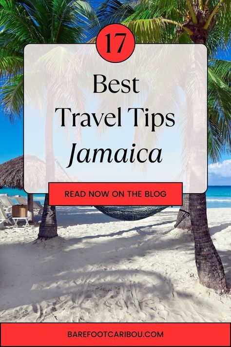 Jamaica, the heart of the Caribbean, is home to breathtaking beaches, mountains, waterfalls, caves, and remote villages. The sunny beaches and the rhythmic reggae music all cultivate a sense of relaxation and enjoyment, making your stay truly unforgettable.So let’s explore my Top Jamaica Travel Tips. #Jamaica #Travel #TravelDestinations #Traveling #PlacesToTravel #VisitJamaica #TravelJamaica #JamaicaVacation Travel To Jamaica, Blue Mountain Coffee, Organization Travel, Visit Jamaica, Jamaican Culture, Jamaica Vacation, Jamaica Travel, Find Cheap Flights, Plane Travel