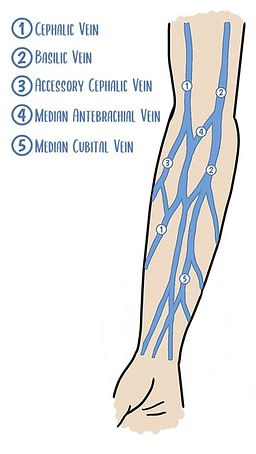 10 IV Insertion Tips for Nurses | Health And Willness Iv Insertion, Nurse Skills, Medical Assistant Student, Nursing Information, Nursing School Motivation, Nurse Study Notes, Nursing Student Tips, Medical Student Study, Nursing School Survival