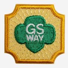 ambassador Girl Scout Badges Requirements, Scouts Badges, Girl Scout Law, Girl Scouts Brownies, Brownie Scouts, Enjoy Girl, Ambassador Program, Girl Scout Badges, Daisy Scouts