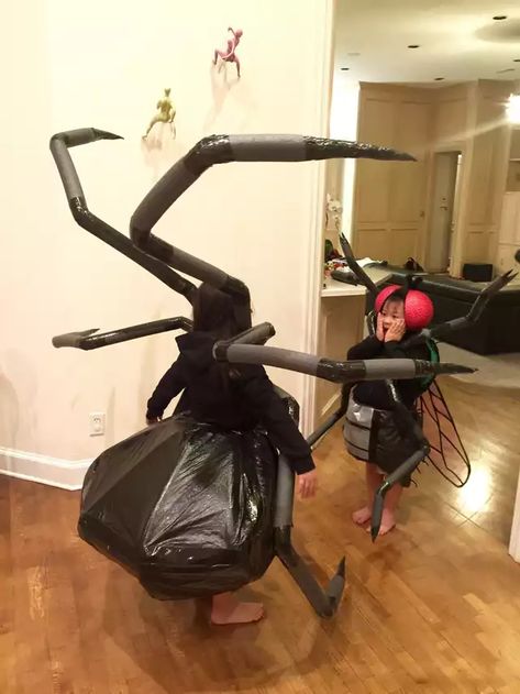 The Spider and the Fly (Halloween 2016) - Imgur Diy Black Widow Spider Costume, Spider And Fly Costume, Spider King Costume, Kids Spider Costume Diy, Black Widow Spider Costume Women, Diy Spider Legs Costume, Spider And Web Costume, Women Spider Costume, Spider Legs Costume