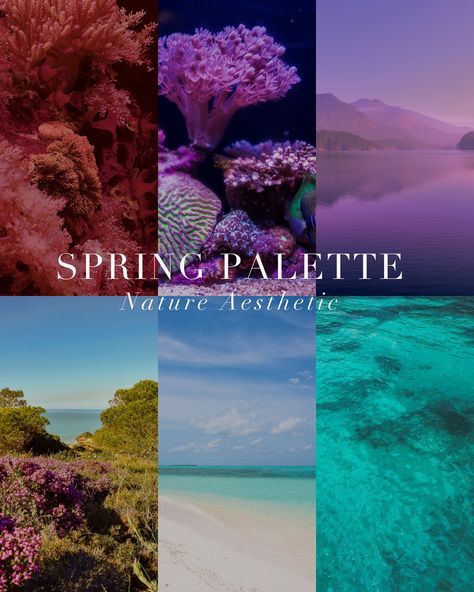 Spring Palette Mood Board 🤍 . #coloranalysis #colouranalysis #coloranalyst #springpalette #lightspring #truespring #brightspring True Spring Aesthetic, Light Spring Aesthetic, Colour Season Analysis, True Spring Palette, Color Season Analysis, Season Analysis, Spring Moodboard, Winter Deep, Autumn Dark