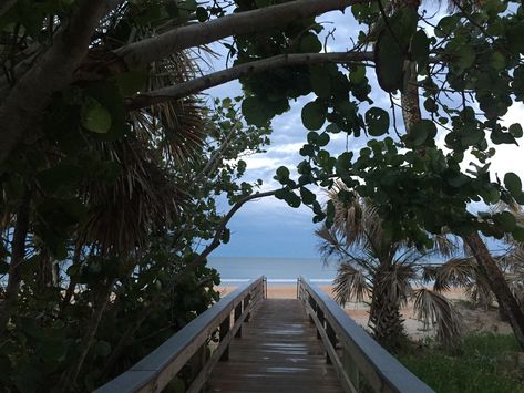 Immerse Yourself in Early Ormond Beach History Natures Path, Ormond Beach, Outdoor Picnic Tables, Beach Lifestyle, Outdoor Leisure, Grave Marker, Living History, Outdoor Picnics, Central Florida