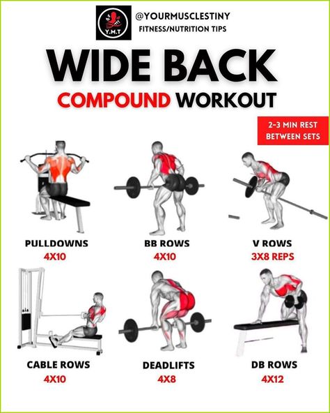 Wide Back Workout Men, Wide Back Workout, Back Workout For Men, Db Rows, Back Workout Bodybuilding, Back Workout Men, Deltoid Workout, Lat Pulldowns, Back Workout Routine