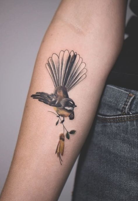 Jasper Andres bird tattoo Fantail Tattoo Design, Fantail Bird Tattoo, Tui Tattoo New Zealand, Nz Tattoo Ideas, Tui Bird Tattoo, Piwakawaka Tattoo, Willy Wagtail Tattoo, Tui Tattoo, Fantail Tattoo