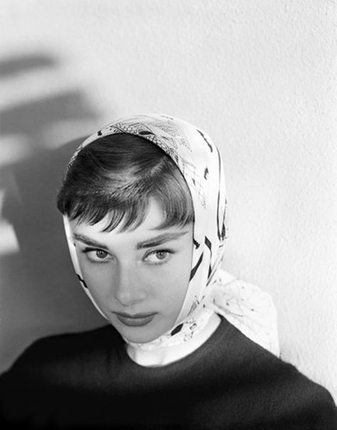 Lost In History on Twitter: "Audrey Hepburn photographed by John Engstead during the production of Roman Holiday, 1953.… " Audrey Hepburn Outfit, Audrey Hepburn Pictures, Audrey Hepburn Born, Aubrey Hepburn, Audrey Hepburn Photos, Audrey Hepburn Style, Hepburn Style, Roman Holiday, Marlene Dietrich