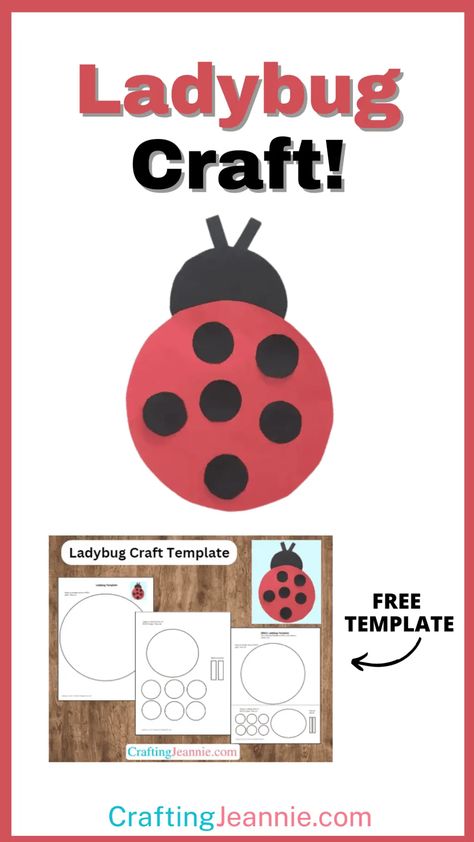 Make this Easy Ladybug Craft. This ladybug is so cute and perfect for toddlers, preschool, and kindergarten! Get the Free Printable Template and make this insect Craft in your classroom or for bug lesson plan. Bug Art For Preschoolers, Easy Ladybug Craft, Insect Crafts Preschool Free Printable, Ladybug Crafts For Toddlers, Ladybug Template Free Printable, Ladybug Craft Preschool, Ladybug Crafts Preschool, Bug Crafts Preschool, Insect Crafts Preschool