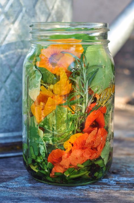 Edible Flowers Recipes, Foraging Recipes, Foraged Food, Fermentation Recipes, Herbal Recipes, Wild Edibles, Garden Recipes, Flower Food, Wild Food