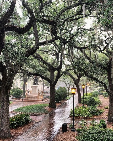 Visit Savannah on Instagram: “There's something so romantic about Savannah in the rain. #VisitSavannah [📸: @_erica_blair_]⠀ .⠀ .⠀ .⠀ #savannah #savannahga…” Savannah Core, Georgia Core, Savanna Georgia, Savannah Tours, Historic Savannah, Georgia Vacation, Visit Savannah, Downtown Savannah, Living Life To The Fullest