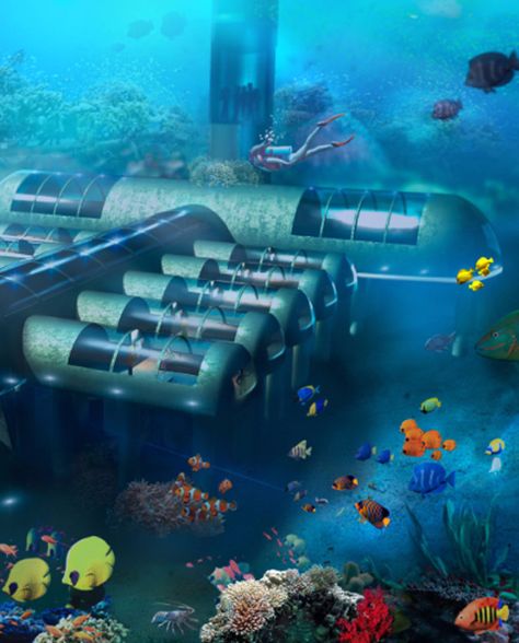 Floating (and Submarine!) Hotels Could Soon Be Coming Your Way Underwater Hotel Florida, Submarine Underwater, Underwater Hotel, Underwater House, Surreal Landscape, Bawah Air, Ocean Underwater, Underwater City, Under The Water