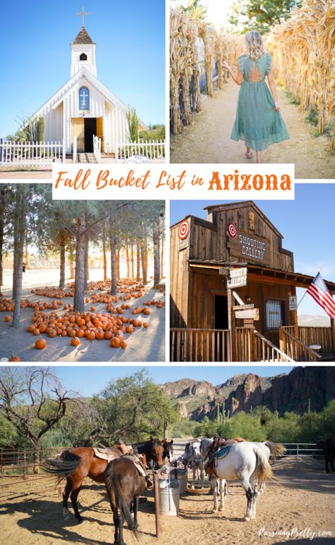 Halloween In Arizona, Things To Do In Arizona, Goldfield Ghost Town, Arizona Bucket List, Canadian Lifestyle, Arizona Vacation, Goat Yoga, Visit Arizona, Arizona Road Trip