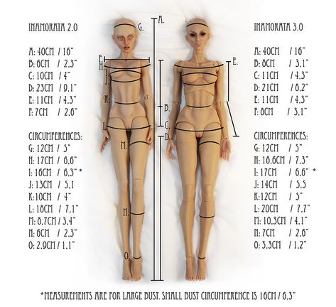 Inamorata Generations 2.0 vs 3.0 Measurements | Inamorata 3.… | Flickr Clay Human, Sculpting Tutorials, Buy Gold And Silver, Sculpted Doll, Dry Well, Wigs For Sale, Weird Shapes, Dolls For Sale, Doll Art