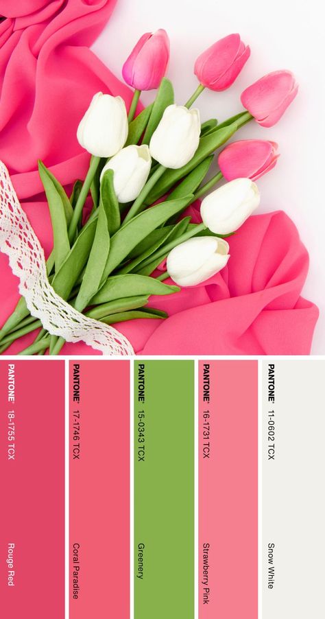 Pantone Color Palette #pantone #color #palette Tulip Color Palette, Color Palette Pantone, Pantone Color Palette, Tulips Spring, Tulip Colors, Pantone Colour Palettes, Baby Massage, Color Palette Design, Watercolor Paintings Tutorials