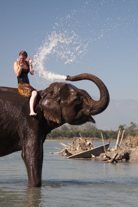 Elephant Bath Photo by Northern Focus Creative -- National Geographic Your Shot Elephant Bathing, Elephant Bath, Wild Animals Photography, Elephants Photos, Water Pictures, Animal Portraits Art, Elephant Art, Gentle Giant, Cool Pets