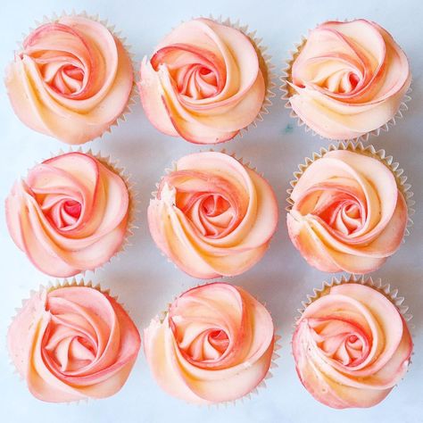 Coral Cupcakes, Peach Cupcakes, 15th Birthday Cakes, Bridal Shower Cupcakes, Fall Cupcakes, White Cupcakes, Peach Cake, Pink Icing, Piping Bag