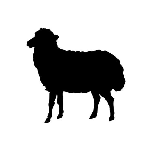 Lamb Head, Sheep Silhouette, Drawing Heads, Free Illustration, Download Free Images, Free Illustrations, Free Graphic Design, Free Images, Mammals