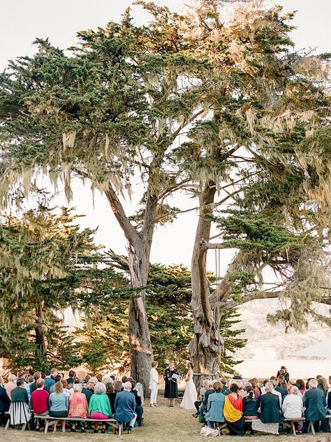 25 of the Bay Area's Most Stunning Wedding Venues Bay Area Wedding Venues, Stunning Wedding Venues, Ishigaki, Hotel Wedding Venues, Bay Area California, Romantic Wedding Photography, Old Tree, Bay Area Wedding, Luxury Destination Wedding