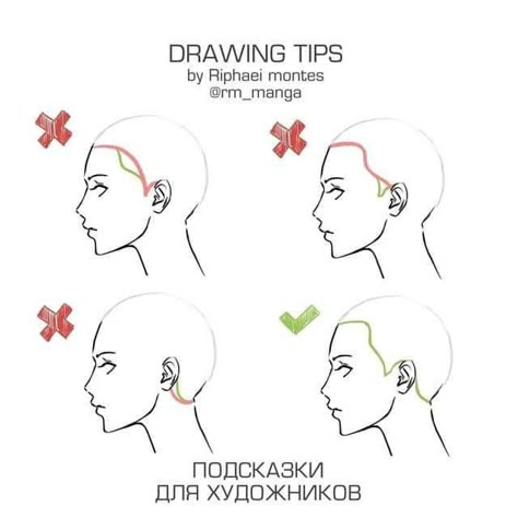 Line Drawing Reference, Hair Line Drawing, 얼굴 드로잉, Hair Line, Different Angles, Anatomy Drawing, Poses References, Figure Drawing Reference, Anime Drawings Tutorials