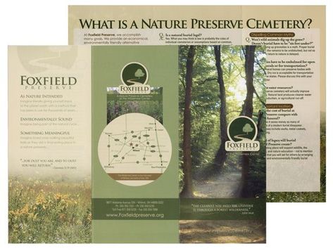 Trifold forest brochure design Nature Brochure, Travel Brochure Design, Brochure Design Layouts, Rack Cards Design, Brochure Examples, Instagram Grid Design, Map Logo, Brochure Design Creative, Brochure Ideas