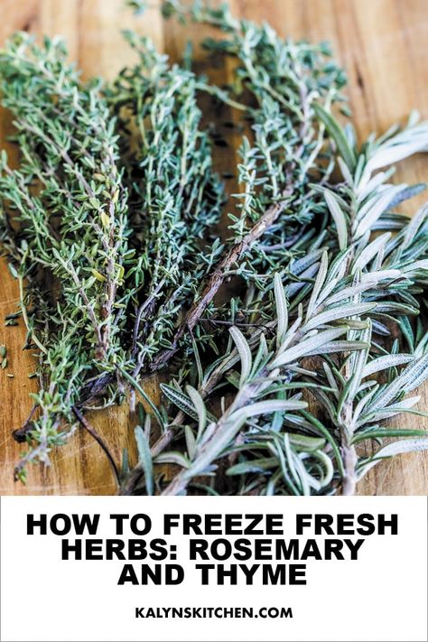 This post shares tips on How to Freeze Rosemary and Thyme and have it to use during the winter in recipes! Did you know that many fresh herbs can be frozen in the summer when they're abundant and then used all through the winter? [found on KalynsKitchen.com] #FreezingFreshHerbs #Freezingherbs Freeze Rosemary, Freezing Parsley, Freeze Fresh Herbs, Thyme Uses, Freezing Fresh Herbs, Drying Fresh Herbs, Fresh Herb Recipes, Freezing Herbs, Frozen Rose