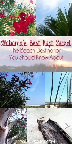 Gulf Shores Alabama Vacation, Dauphin Island Alabama, Beach Vacation Tips, Orange Beach Vacation, Alabama Vacation, Gulf Shores Vacation, Alabama Beaches, White Sand Beaches, Alabama Travel