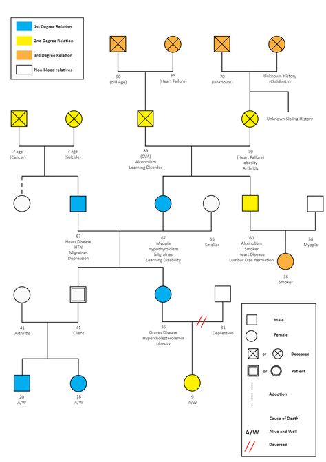 Health History Genogram | EdrawMax Free Editbale Printable Genogram Family Tree, Family Genogram Template, Genogram Example, Family Relationship Chart, Family Genogram, Genogram Template, Family Health History, Science Diagrams, Coping Skills Activities