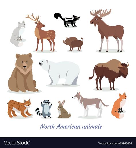 North American Animals, Wild Animal Wallpaper, American Cartoons, Animals Cartoon, American Animals, Flat Icons Set, Wild Boar, Arte Animal, Cartoon Illustration