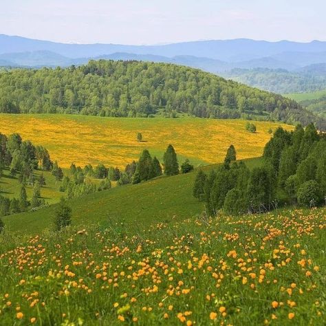 French Countryside Photography, Green Orange Aesthetic, Aesthetic Background Green, Patio Landscape Design, Mine Aesthetic, Hilly Landscape, Protect Your Peace, Background Green, Countryside Landscape