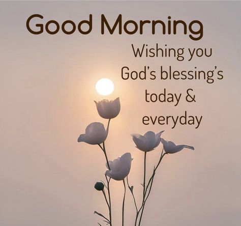 Good Morning Wishes In Hindi Friends, Good Morning Wish In Hindi, Good Morning Wishes With Flowers Nature, Good Morning Wishes In Malayalam, Tamil Morning Wishes, Good Morning Meaningful Quotes, Good Morning Clips, Good Morning Massage, Good Night Love Messages