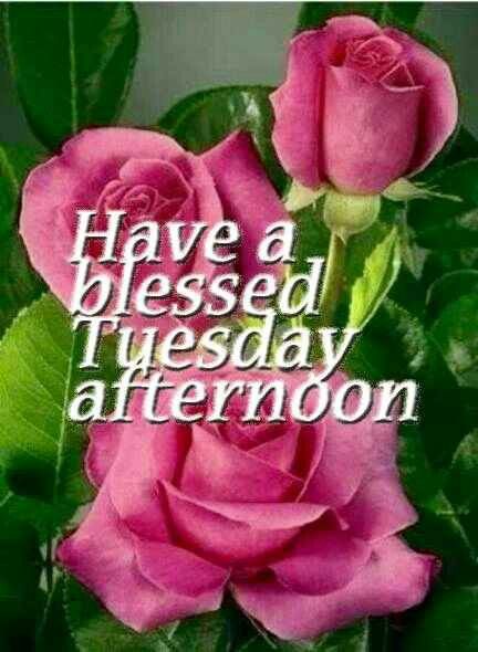 Have a Beautiful Blessed Afternoon♡ Blessed Tuesday, Motivational Bible Quotes, Tuesday Greetings, Hello Tuesday, Hugs And Kisses Quotes, Good Afternoon Quotes, Good Evening Greetings, Afternoon Quotes, Evening Greetings