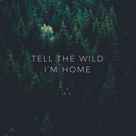 Druid Quotes, Nature Dystopia, Forest Cathedral, Nature Aesthetic Quotes, Woods Quote, Wild Women Quotes, Forest Quotes, Wild Quotes, Vintage Shoot