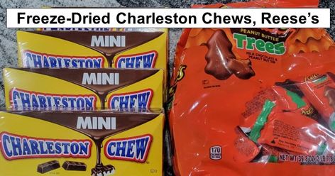 Freeze-Dried Charleston Chews, Reese’s Peanut Butter Cups – reThinkSurvival.com Peanut Butter Chews, Charleston Chew, Long Term Food Storage, Mini Milk, Reeses Peanut Butter Cups, Reeses Peanut Butter, Freeze Dried, Freeze Drying, Peanut Butter Cups