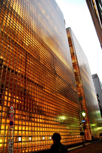 Glass brick. Hermés, Ginza, Tokyo  maybe mixed in the back wall to let more light in? Glass Brick Bar, Hermes Building, Arch Visualization, Tokyo Architecture, Ginza Tokyo, Facade Lighting, Glass Brick, Renzo Piano, Brick Architecture