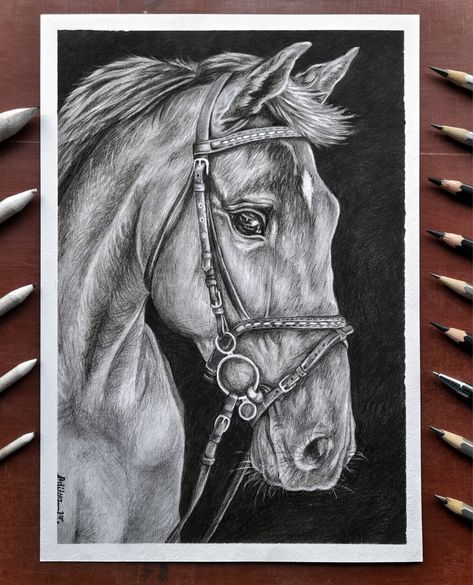 Realistic Horse Sketch, Horse Drawings Pencil, Animal Sketches Realistic, Horse Drawing Pencil, Easy Charcoal Drawings, Sketch Horse, Art Competition Ideas, Realistic Animal Drawings, Pencil Sketch Portrait