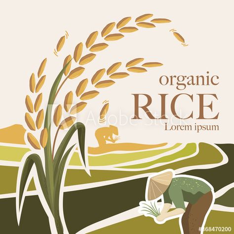 paddy rice premium organic natural product banner logo vector design #AD , #organic, #natural, #premium, #paddy, #rice Rice Logo Design, Logo Rice, Product Banner, Blog Layout Design, Entrance Signage, Food Illustration Design, Rice Packaging, Banner Logo, Organic Rice