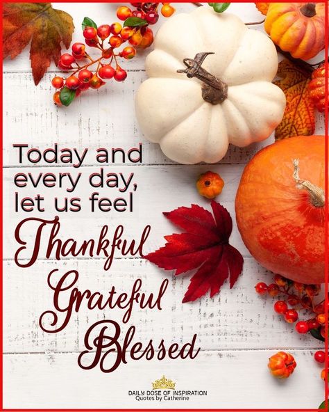 Grateful Thankful Blessed Quotes, Thankful Quotes Life, Happy Thanksgiving Wallpaper, Happy Thanksgiving Cards, Kindness Lessons, Thanksgiving Poems, Happy Thanksgiving Pictures, Balance Life, Happy Mothers Day Images