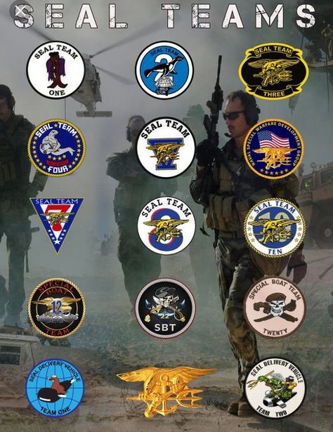 Marina Poster, Photo Avion, Military Motivation, Military Ranks, Us Navy Seals, Navy Gifts, Special Operations Forces, Military Special Forces, Military Insignia