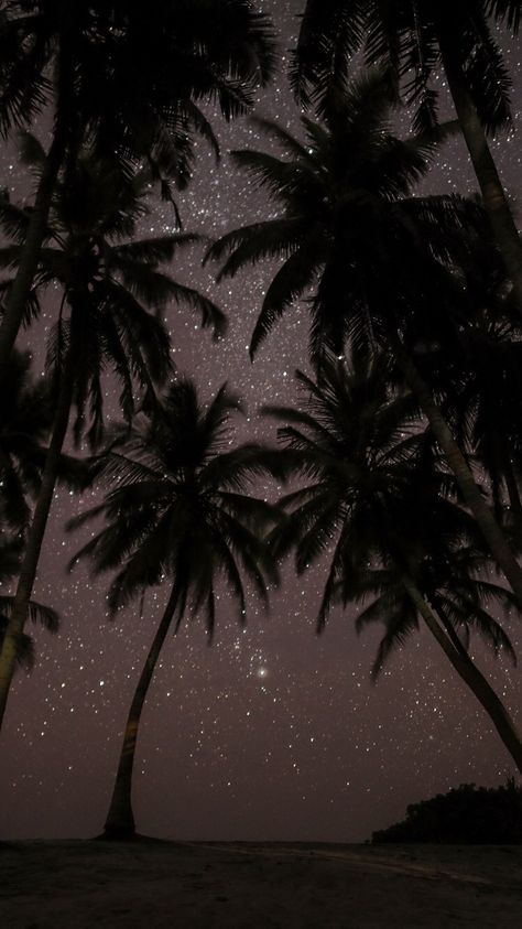 Palm Tree Sunset, Night Sky Wallpaper, Wallpaper Tumblr, Wallpaper Animes, Tumblr Wallpaper, Cool Backgrounds, Cute Wallpaper Backgrounds, Screen Wallpaper, Sky Aesthetic