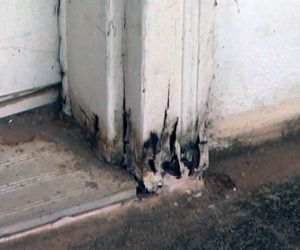 How to Repair Rotten Door Jambs and Brick Mold | Today's Homeowner Door Frame Repair, Replace Exterior Door, Rotten Wood, Garage Door Types, Cool Garages, Wood Repair, Brick Molding, Door Jamb, Door Casing