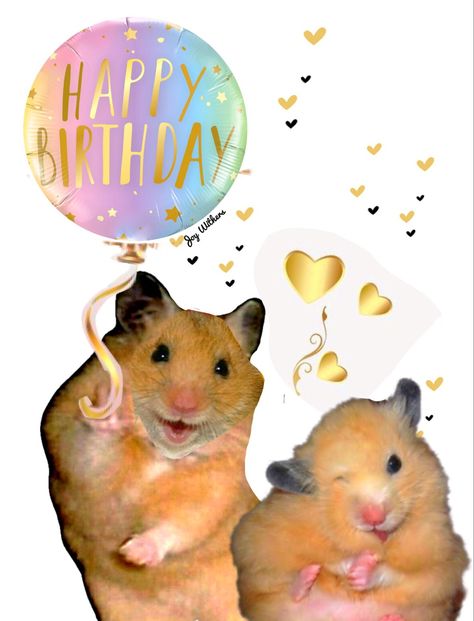 Hepi Birthday, Hamster Happy Birthday, Hamster Birthday, Birthday Cat Meme, Birthday Meme Dog, Happy Birthday Kids, Happy Birthday Dog Meme, Birthday Memes, Birthday Meme