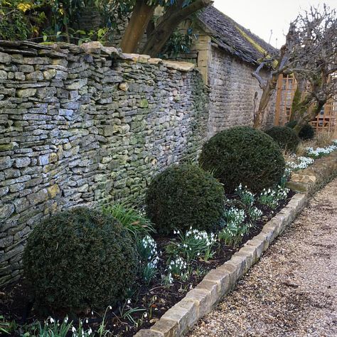 Yew balls and snowdrops. White against dark green works so well. Pleased with the way this driveway border is looking on a cold spring… Yew Balls Border, Yew Balls, Cottage Front Garden, Driveway Border, Driveway Landscaping, Cold Spring, Front Garden, Dream Garden, Driveway