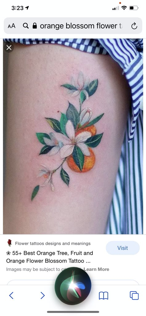 Orange Tree Tattoo, Tattoos Arms, Blossom Tree Tattoo, Florida Tattoos, Magnolia Tattoo, Vine Tattoos, Bff Tattoos, Blossom Tattoo, Shoulder Tattoos For Women