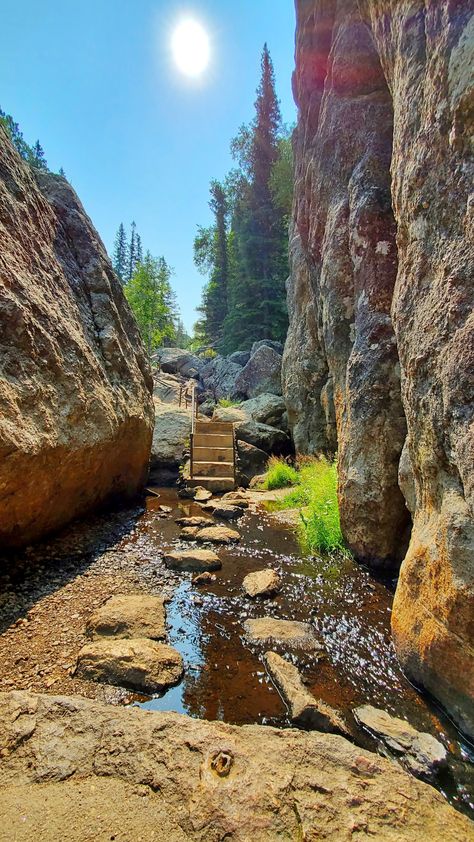 things to do in south dakota state park. black hills hiking. custer state park. US south dakota road trip alongside badlands national park, mount rushmore, black hills national forest. day trip from rapid city sd Road Trip South Dakota, South Dakota Aesthetic, Black Hills South Dakota Vacation, South Dakota Must See, Spearfish Canyon South Dakota, Mickelson Trail South Dakota, Black Hills South Dakota Photography, Custer State Park South Dakota, The Badlands South Dakota