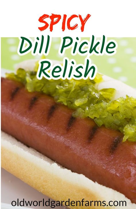 Dill Relish Canning Recipe, Spicy Pickle Relish, Dill Pickle Relish Recipe, Cucumber Relish Recipes, Pickle Relish Recipe, Garden Cucumbers, Spicy Pickle, Jalapeno Relish, Zucchini Relish