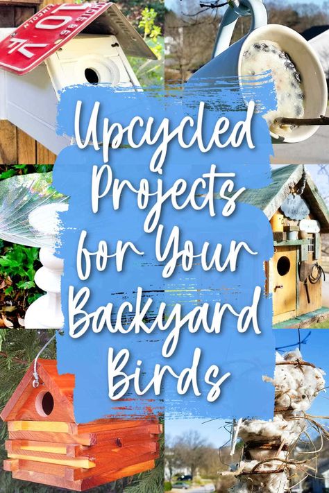 Looking for ways to bring more birds to your yard? These DIY and upcycling ideas for birdhouses, feeders, and baths will turn your outdoor space into the bird-friendliest yard for your feathered friends. Hanging Bird Bath, Old License Plates, Thrifted Decor, Upcycling Projects, Thrift Store Decor, Backyard Diy, Upcycling Ideas, Diy Pins, Bird Crafts