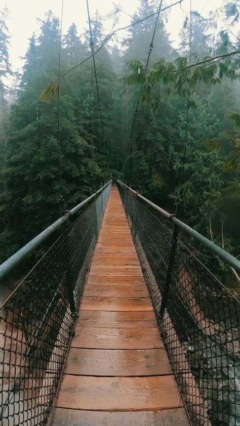 hunnerrxse on Instagram: Moody waterfall hikes in Oregon🌲☁️ 📍: Drift Creek Falls . . . . #exploreoregon #traveloregon #beautifuldestinations #pnwonderland… Pnw Autumn, Hikes In Oregon, Tommee Profitt, Oregon Life, Explore Oregon, Waterfall Hikes, Oregon Travel, Suspension Bridge, March 19