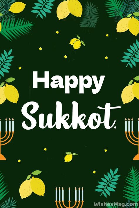 No occasion feels complete until you share the joy of it with your loved ones, and Sukkot is no exception. On Sukkot, people usually greet each other with a simple “Chag Sameach”, which is the Hebrew for “Happy holiday”. But when you are wishing your family, friends, colleagues, or dear people, why not take it up a notch? The best part is, you won’t even have to look for the right words! Just use one of the happy Sukkot wishes we have written here. Happy Sukkot, Chag Sameach, Sukkot, Rose Pictures, Greetings Quotes, Shabbat Shalom, Jewish Holidays, Happy Holiday, Quotes Images