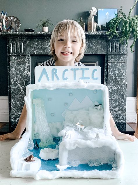 Arctic Project, Arctic Projects For Kids, Arctic Habitat Project For Kids, Arctic Habitat Project, Iceberg School Project, Artic Habitat Project For Kids, Biome Project Ideas, Polar Diorama, Antarctica Diorama