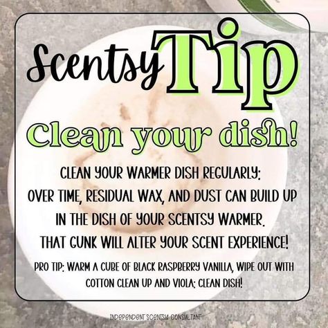 Scentsy Tips And Tricks 2024, Scentsy Did You Know, Scentsy Daily Post Ideas, Scentsy Tip Tuesday, Scentsy Hacks, Scentsy Posts, Scentsy Christmas, Scentsy 2024, Scentsy Pictures