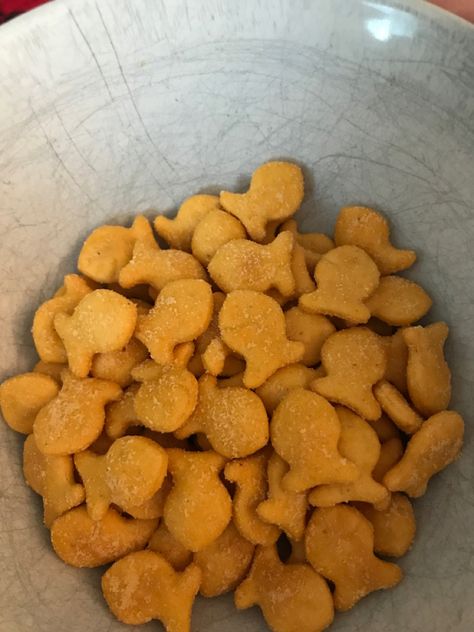 Goldfish Crackers Aesthetic, Gold Fish Food, Brandon Core, Rain Collector, Ben Hope, Goldfish Snack, Goldfish Food, Fish Snacks, Goldfish Crackers