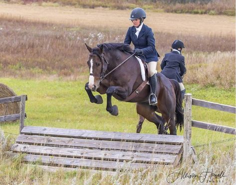 Fox Hunting Attire, Jumping Fox, Fox And Hound, Horses Jumping, Fox Hunter, Fox Hunt, Hunt Scene, Hunt Club, Horses Riding